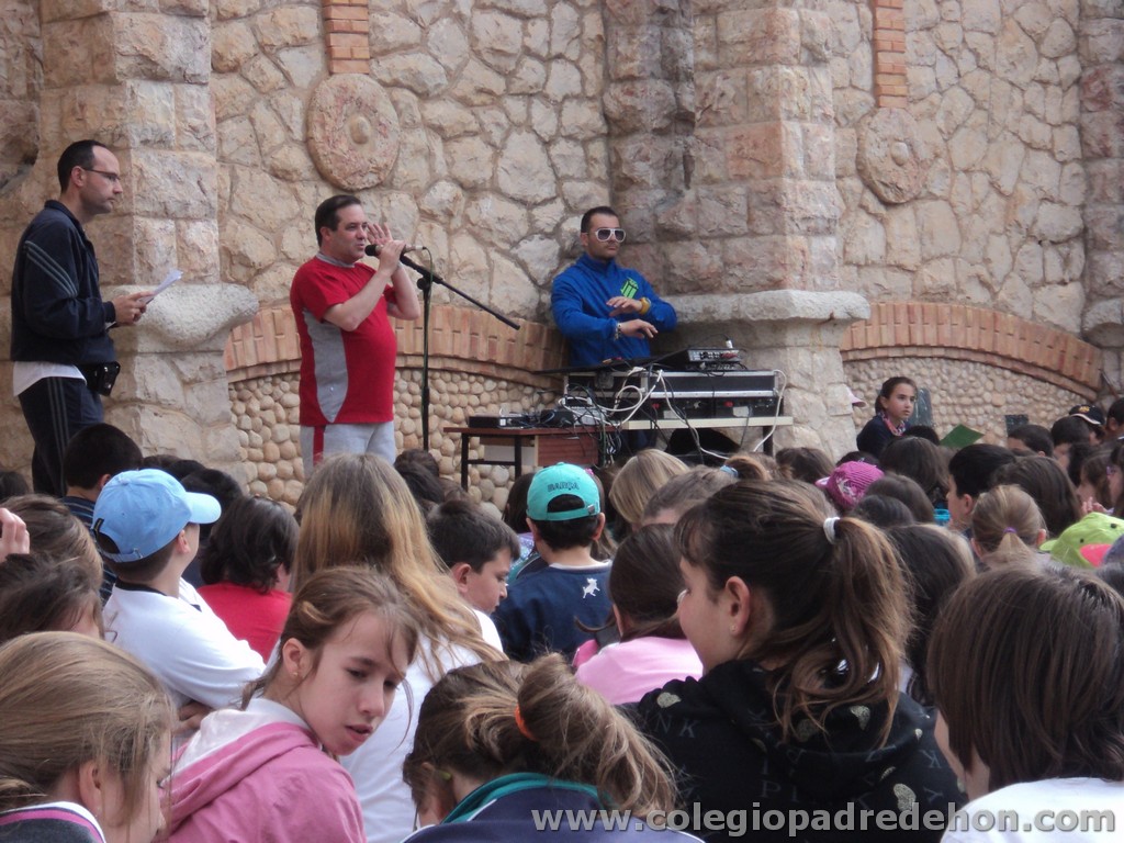 Marcha solidaria 201100081