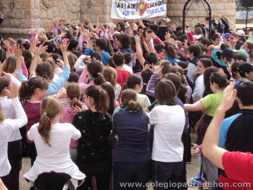 Marcha solidaria 201100091