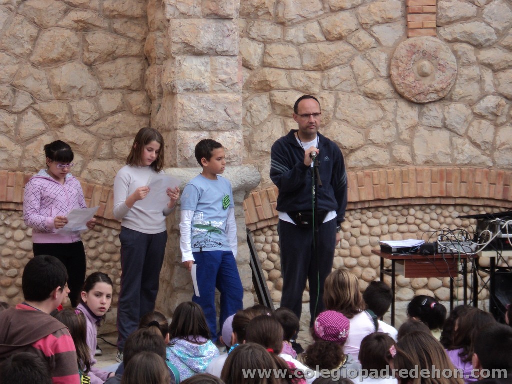 Marcha solidaria 201100093