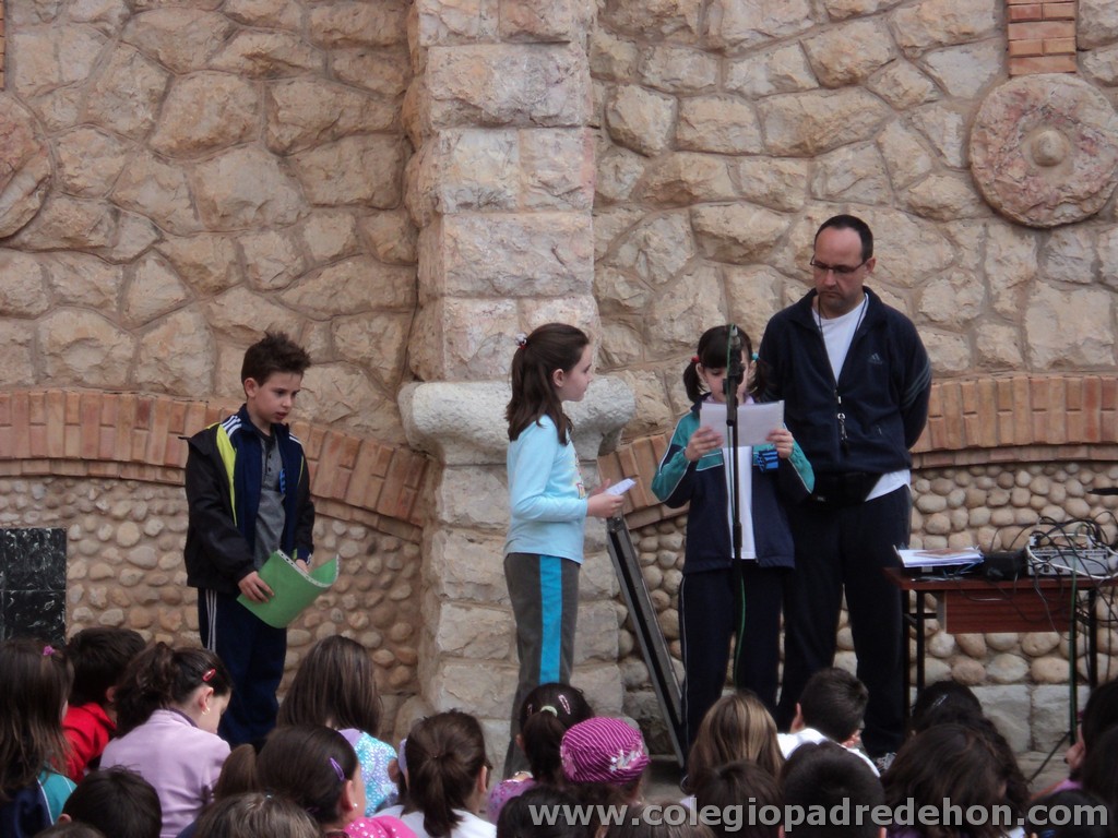 Marcha solidaria 201100099