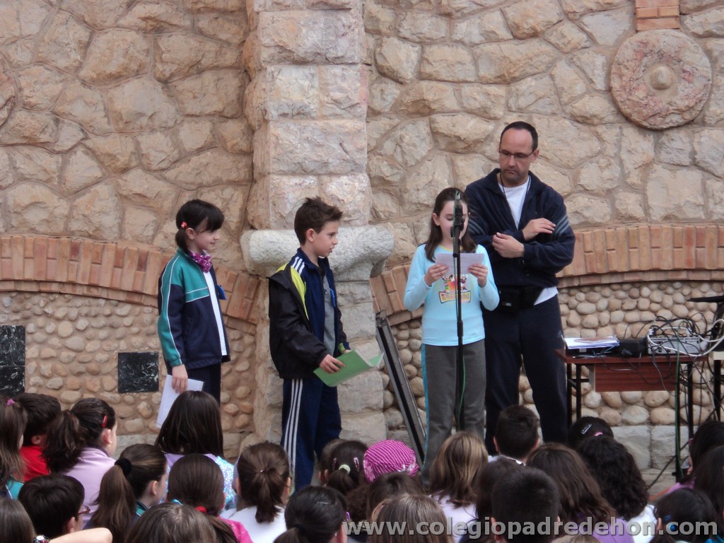 Marcha solidaria 201100100