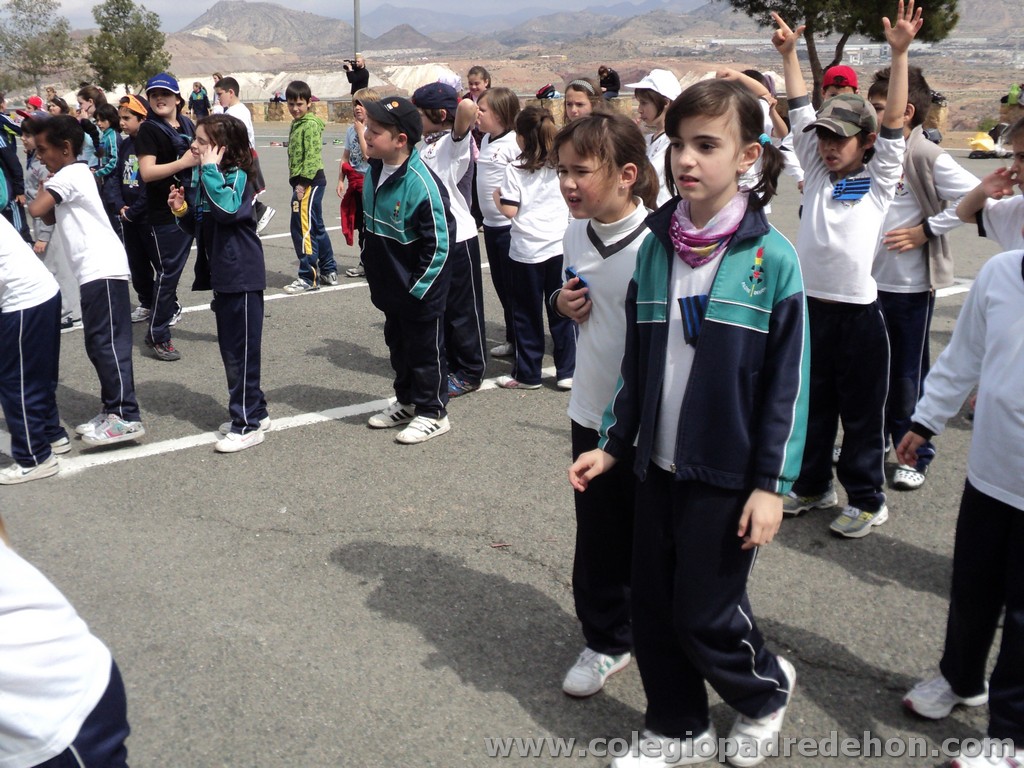 Marcha solidaria 201100121