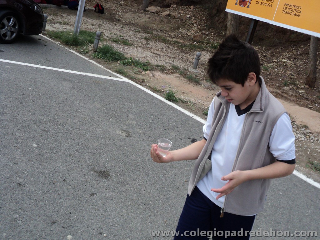 Marcha solidaria 201100129