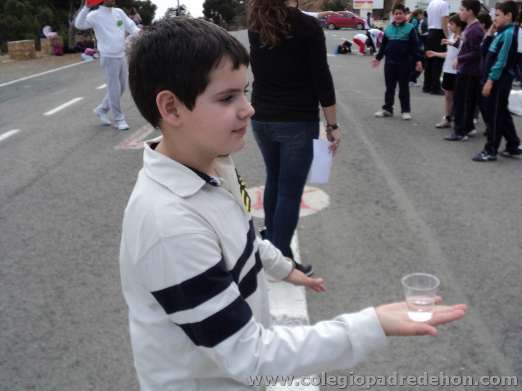 Marcha solidaria 201100133