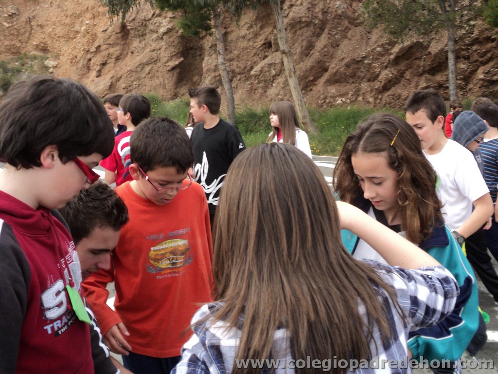 Marcha solidaria 201100134