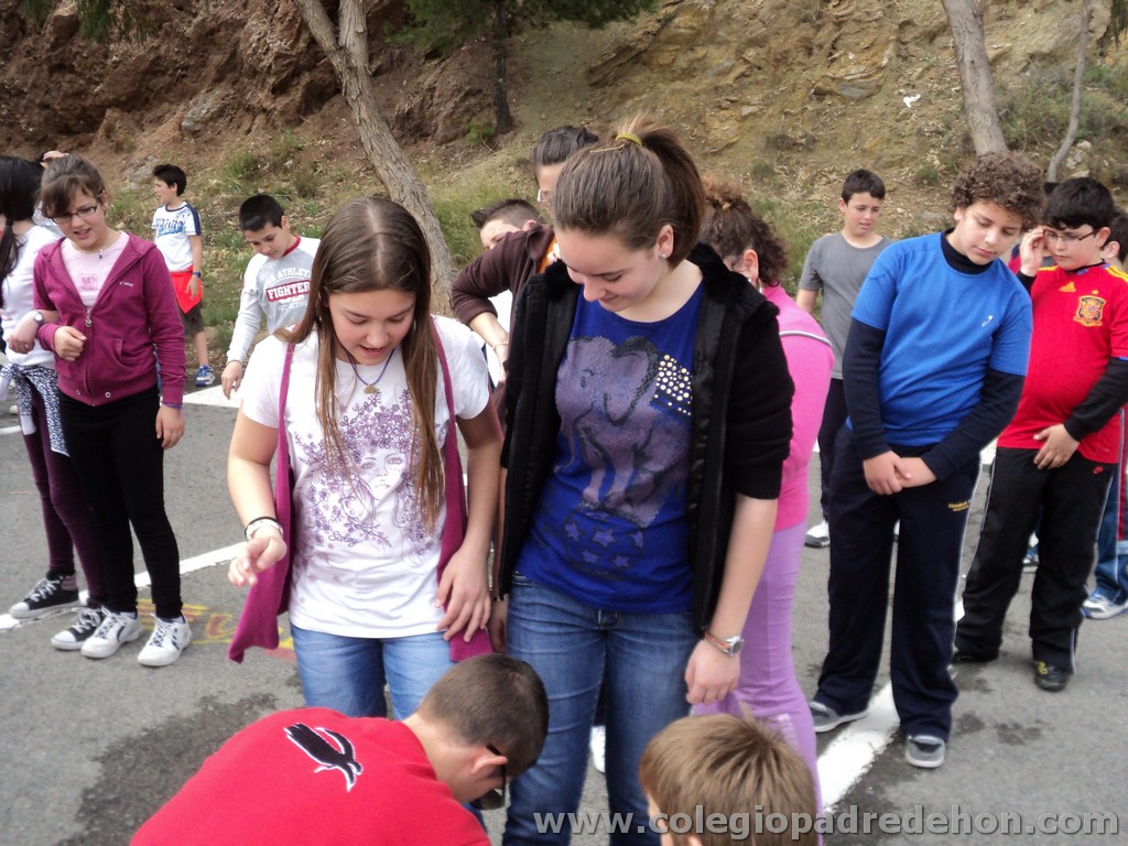 Marcha solidaria 201100136