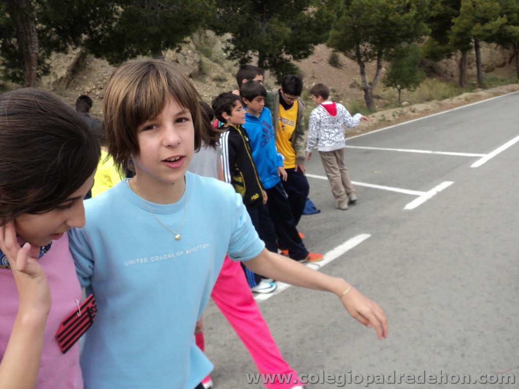 Marcha solidaria 201100137