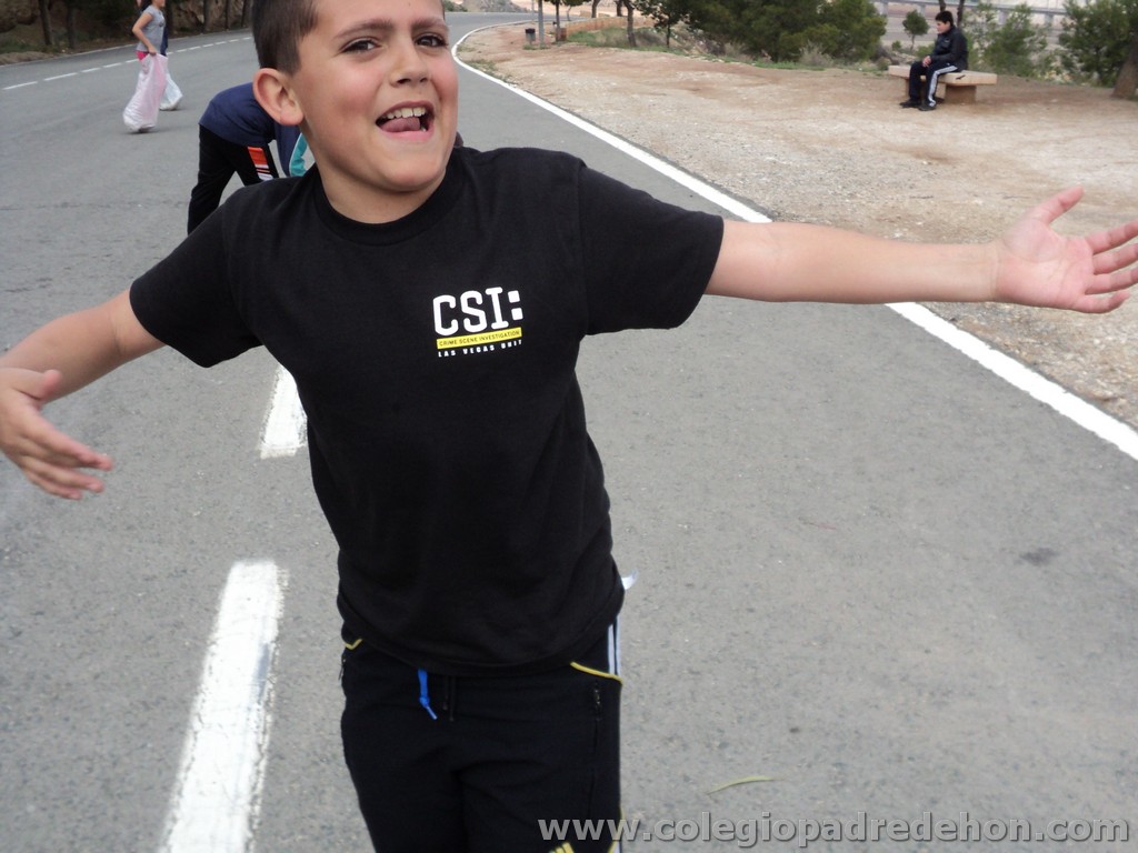 Marcha solidaria 201100138