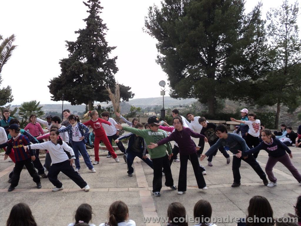 Marcha solidaria 201100165