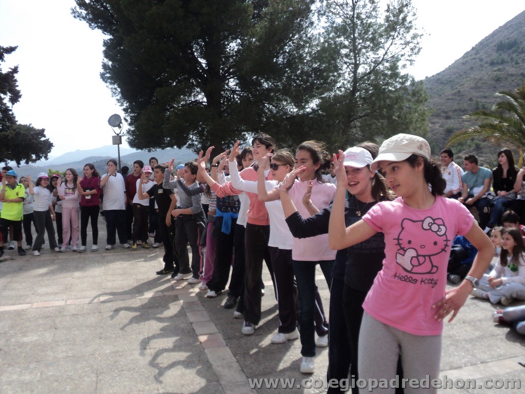 Marcha solidaria 201100174