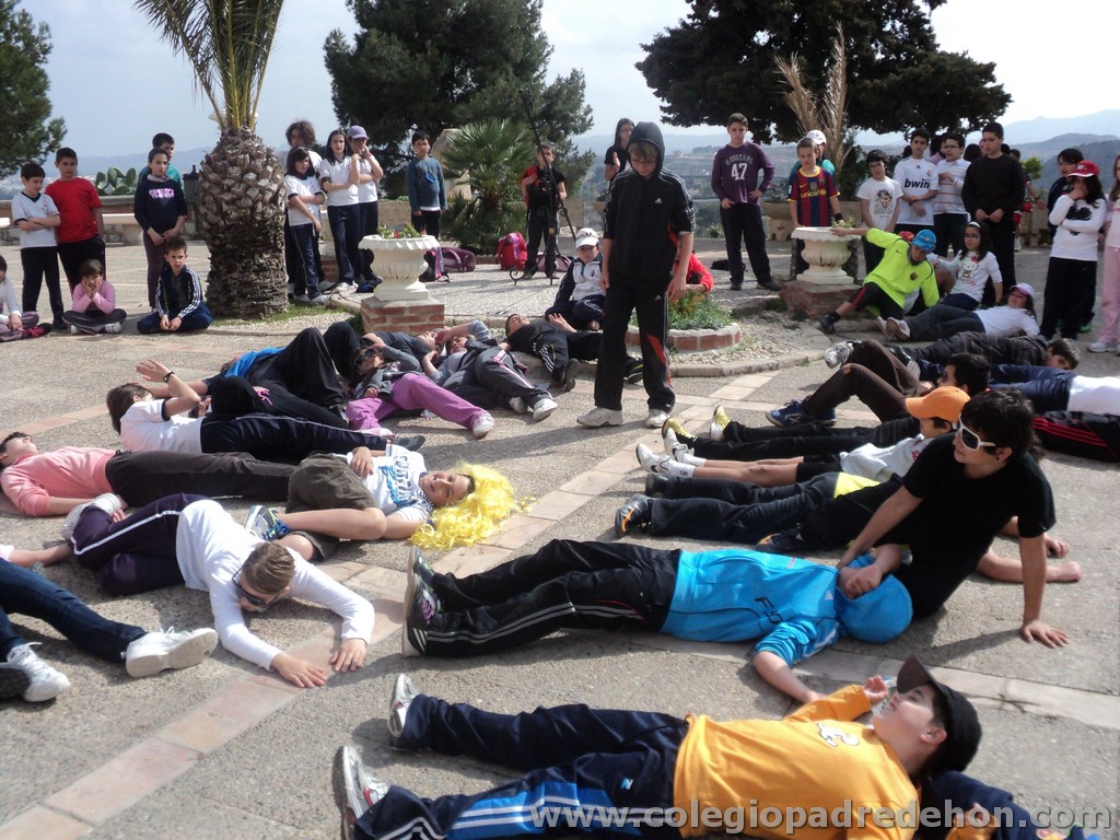 Marcha solidaria 201100178