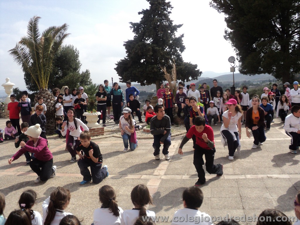 Marcha solidaria 201100179