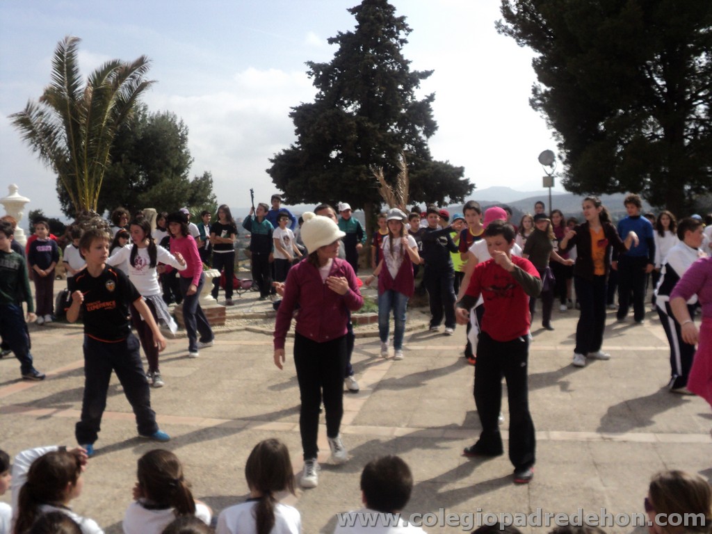 Marcha solidaria 201100180