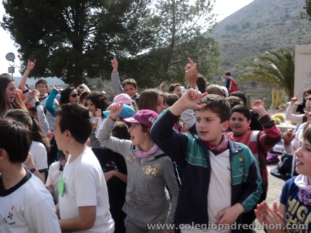 Marcha solidaria 201100187