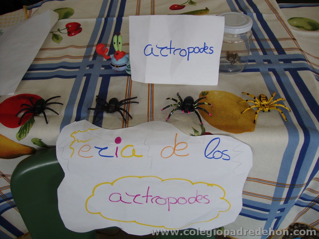 Feria animales 201100002