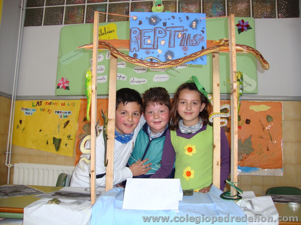 Feria animales 201100005