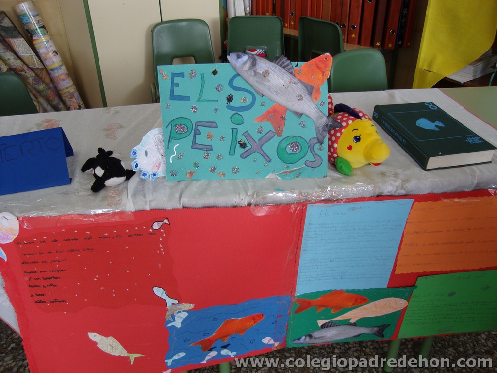 Feria animales 201100006