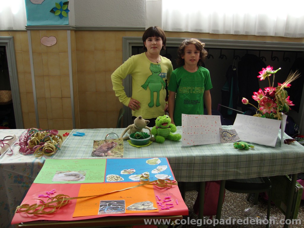Feria animales 201100008