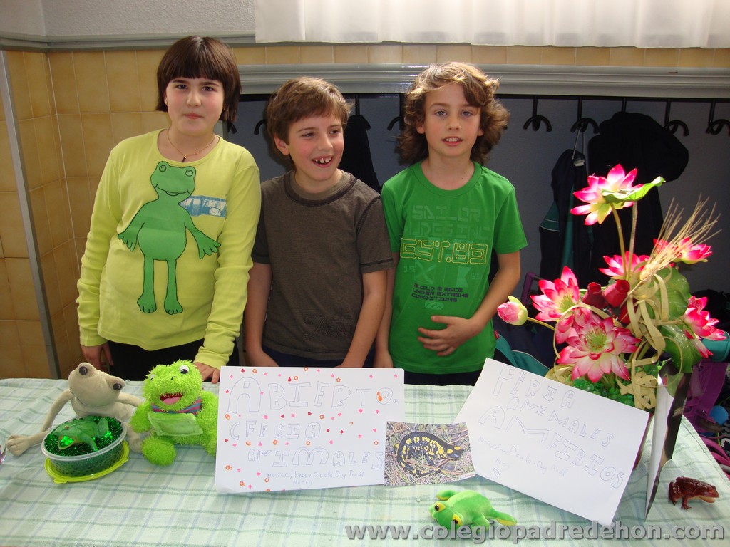 Feria animales 201100009