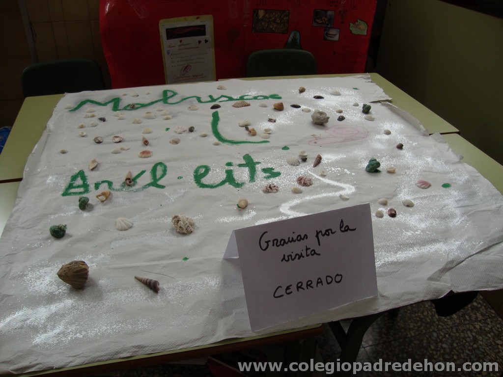 Feria animales 201100010