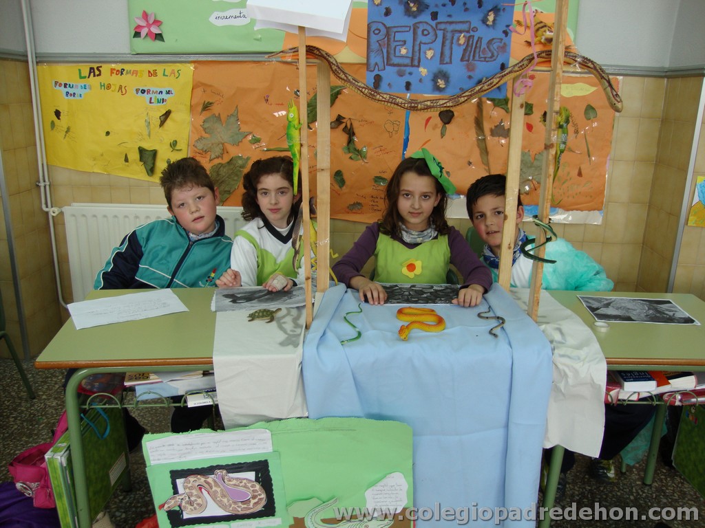 Feria animales 201100017