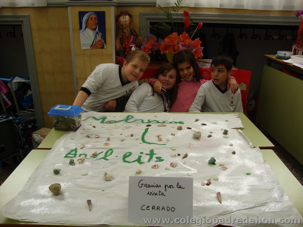 Feria animales 201100020