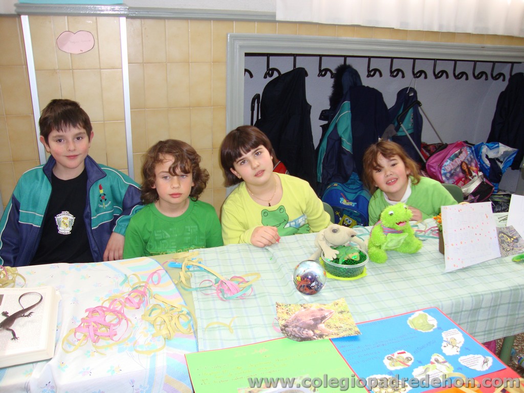 Feria animales 201100021