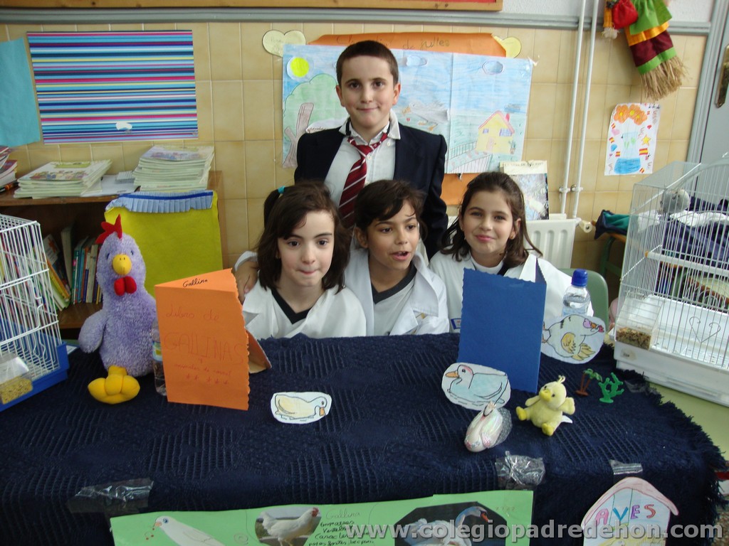 Feria animales 201100022