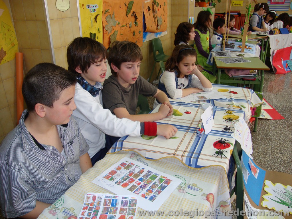 Feria animales 201100026