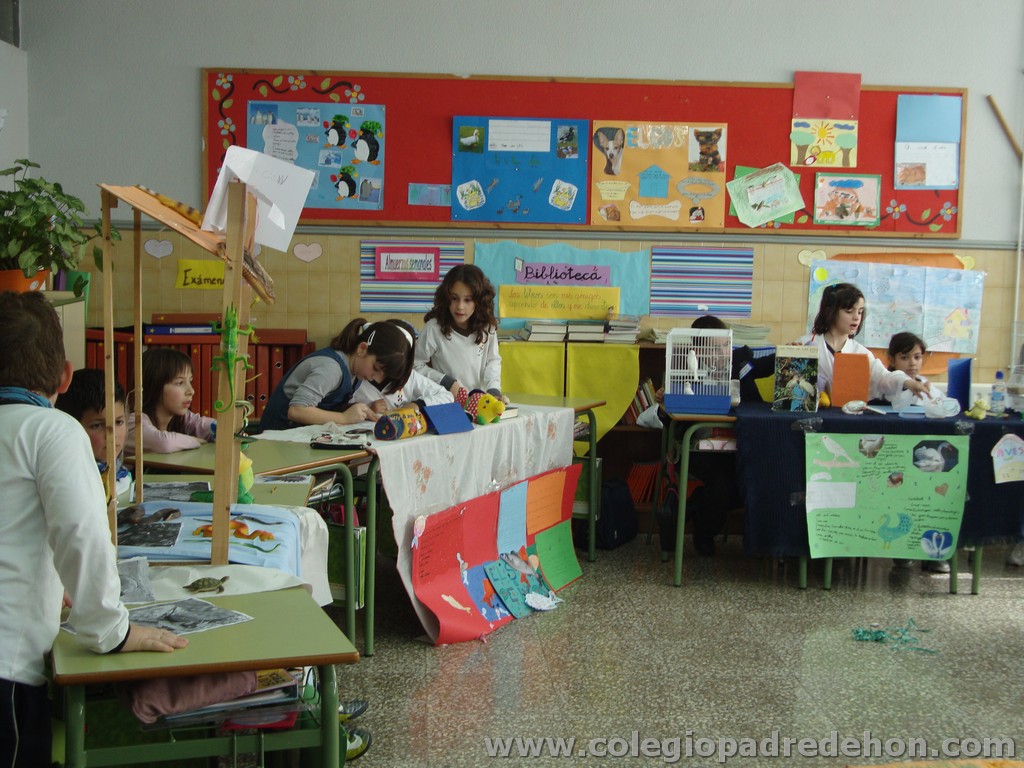 Feria animales 201100027