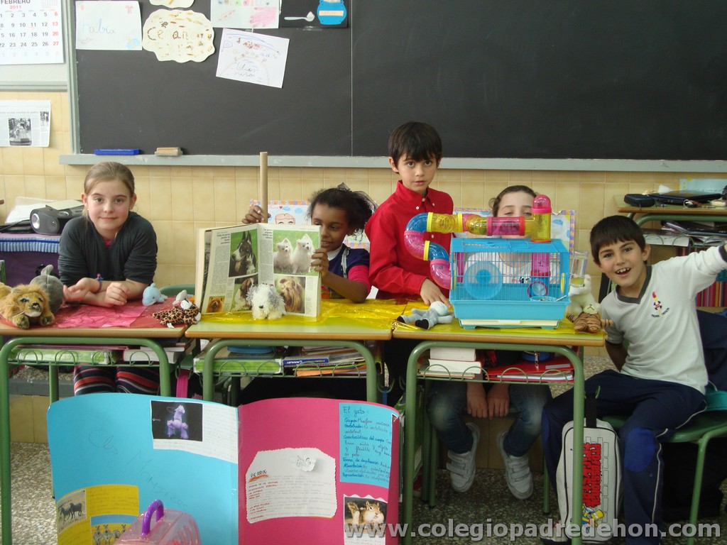 Feria animales 201100029