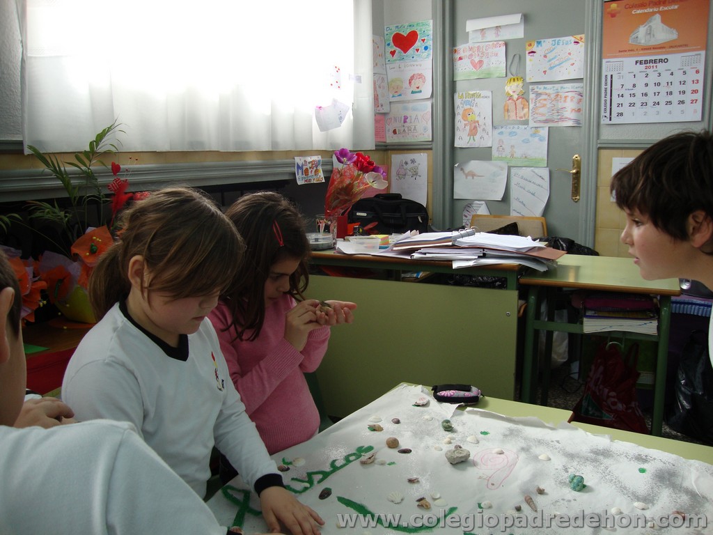 Feria animales 201100032