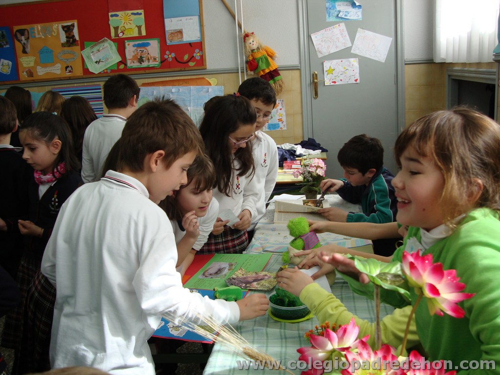 Feria animales 201100034