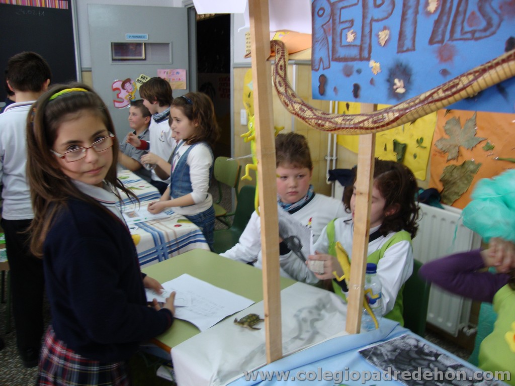 Feria animales 201100038