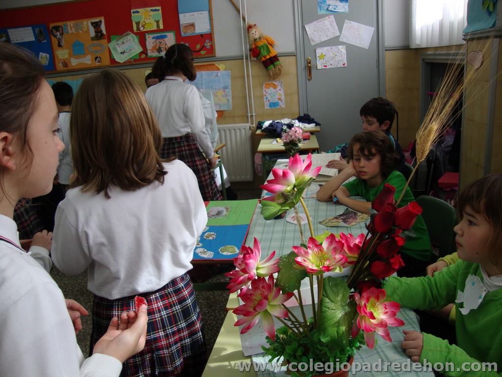 Feria animales 201100042