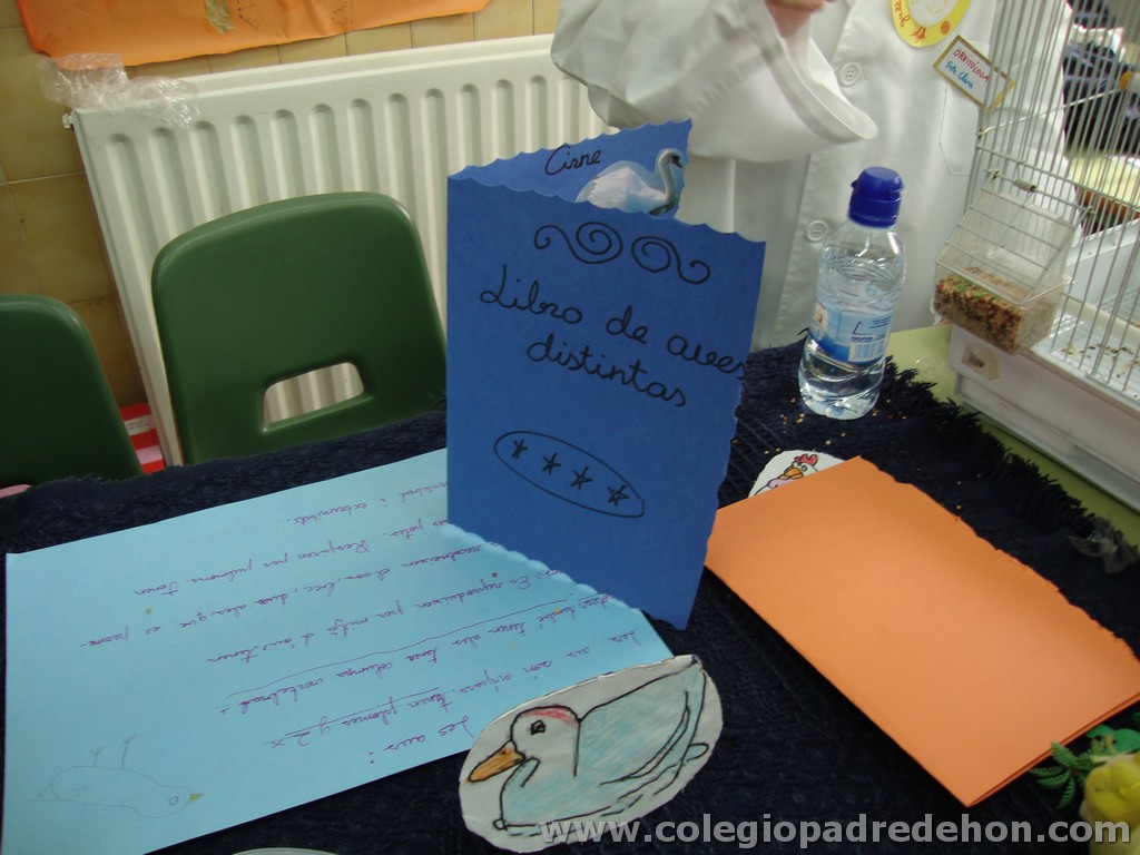 Feria animales 201100043