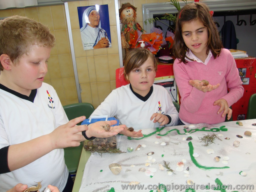 Feria animales 201100044