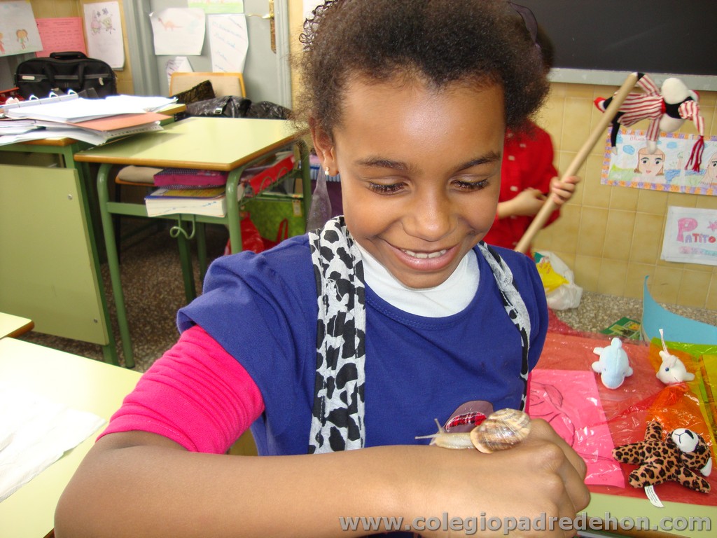 Feria animales 201100046