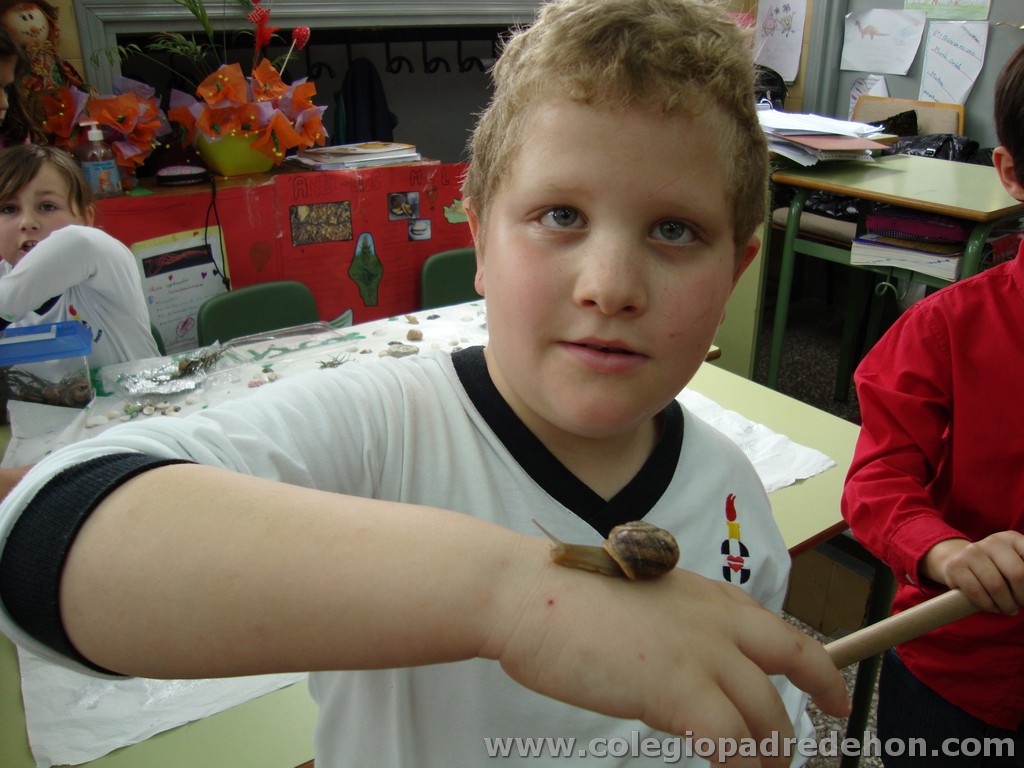 Feria animales 201100047