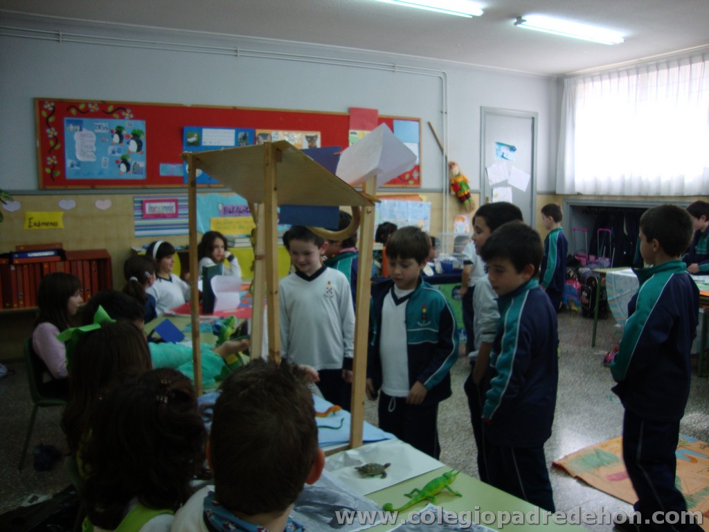 Feria animales 201100048