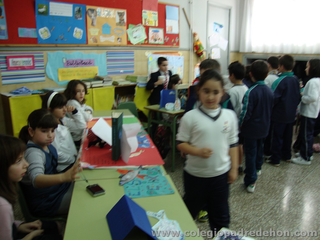 Feria animales 201100049