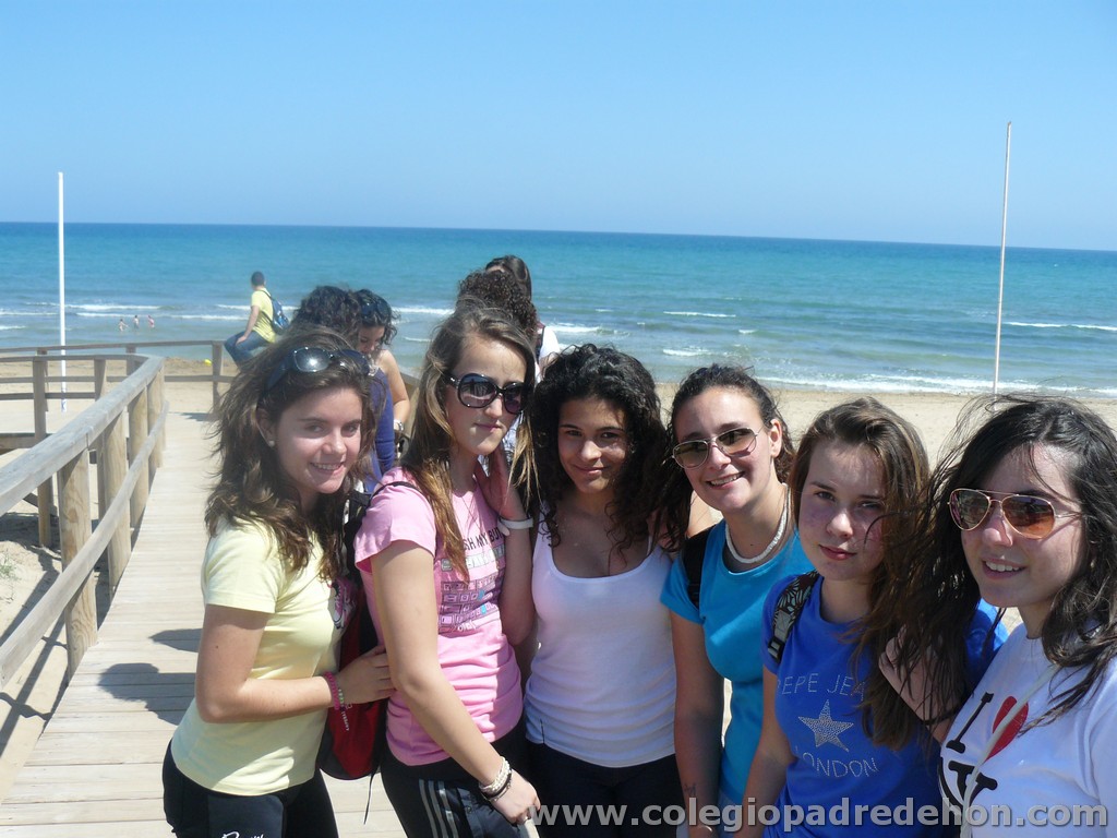 Convivencia 4 201100014