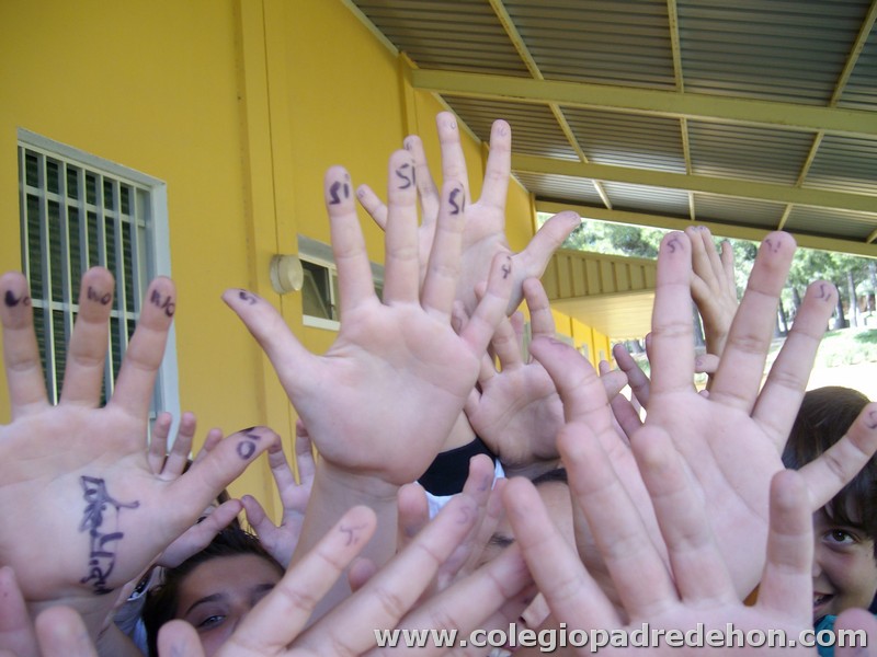 Convivencia 6 prim00015