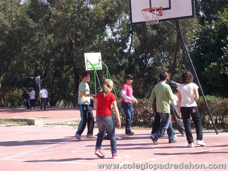 Convivencia 6 prim00025