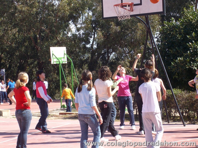 Convivencia 6 prim00026