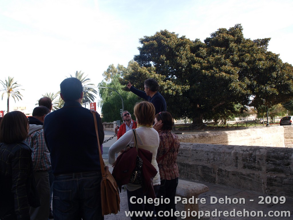 Visita valencia prof 09000006