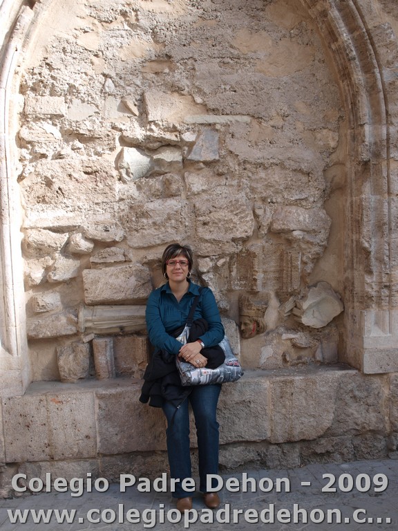 Visita valencia prof 09000086