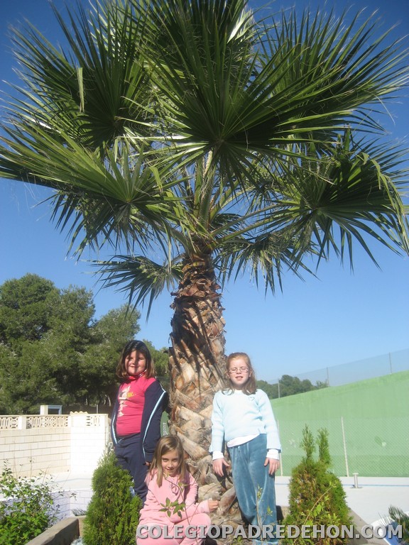 Convi primaria 2008 00029