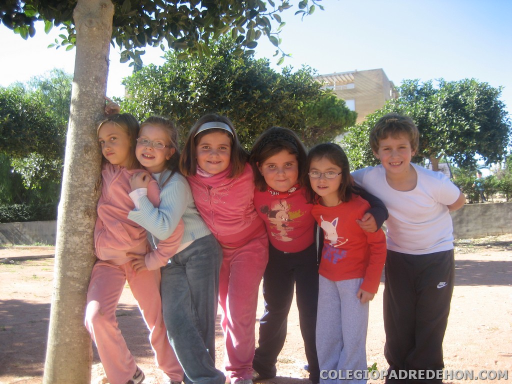 Convi primaria 2008 00032
