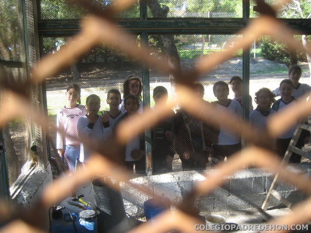 Convi primaria 2008 00035